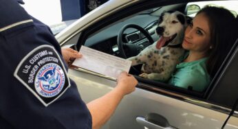 Navigating CBP Secondary Inspection, Searches and Seizures